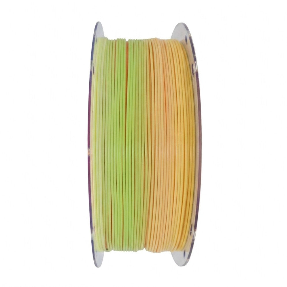 PLA Rainbow Rainbow Corals